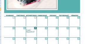 MS Excel Photo Calendar Template