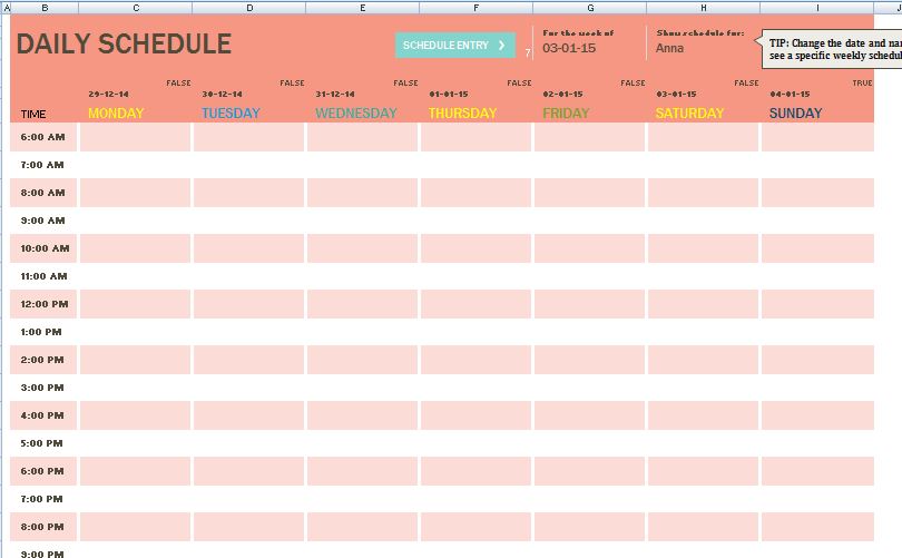 Family Member Daily Task Schedule Template Formal Word Templates